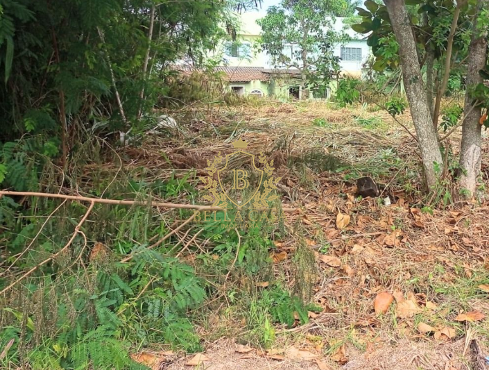 Terreno para aluguel no Parque Hotel: 