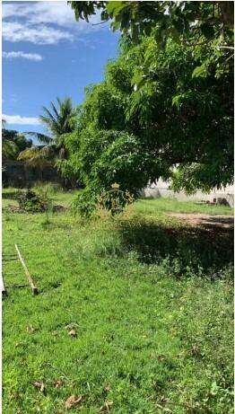 Lote à venda no Jaconé: 