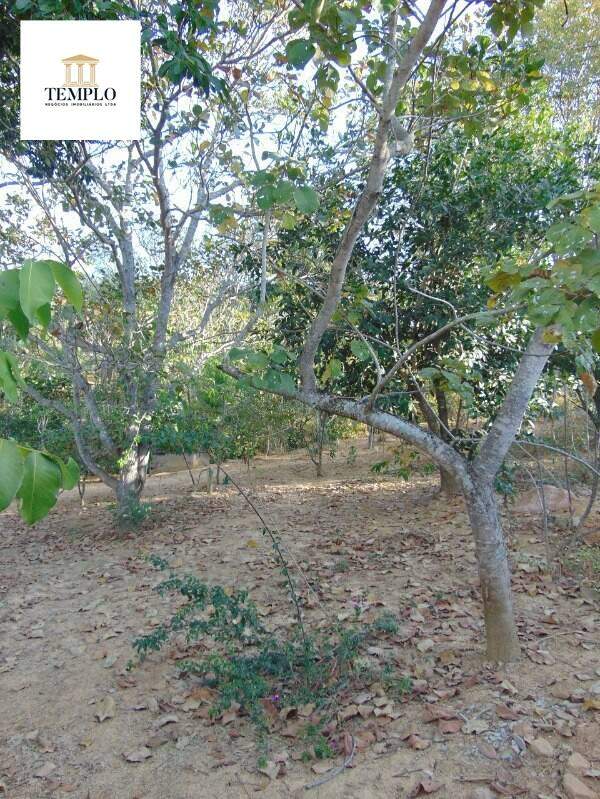Lote à vendaSANTA MARIACurveloMG: Foto 05
