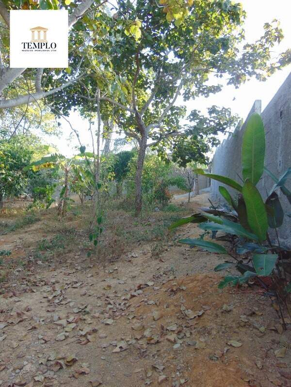 Lote à vendaSANTA MARIACurveloMG: Foto 06