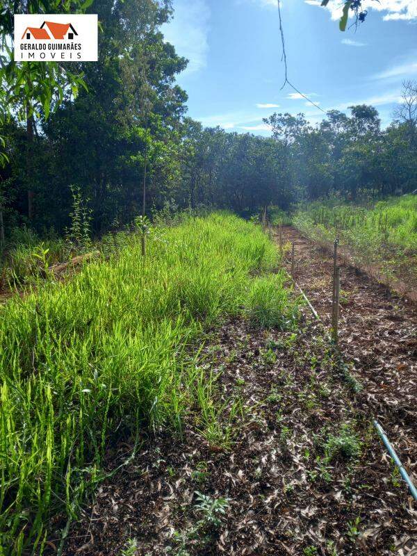 SITIO RURAL à vendaÁrea Rural de CurveloCurveloMG: 