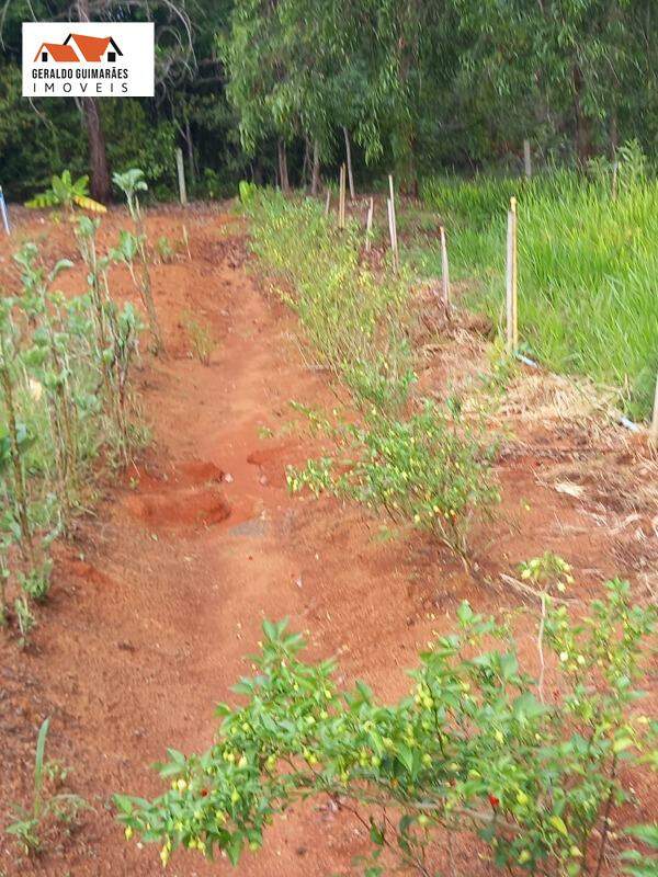 SITIO RURAL à vendaÁrea Rural de CurveloCurveloMG: 