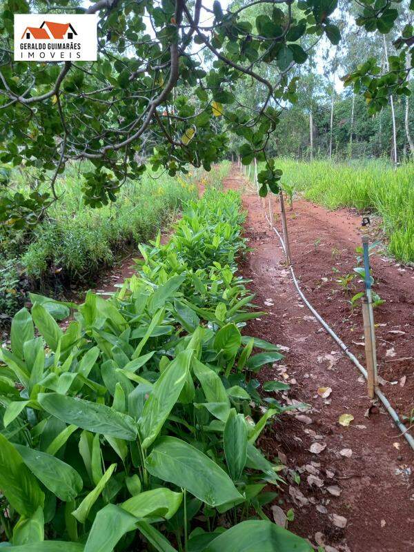 SITIO RURAL à vendaÁrea Rural de CurveloCurveloMG: 