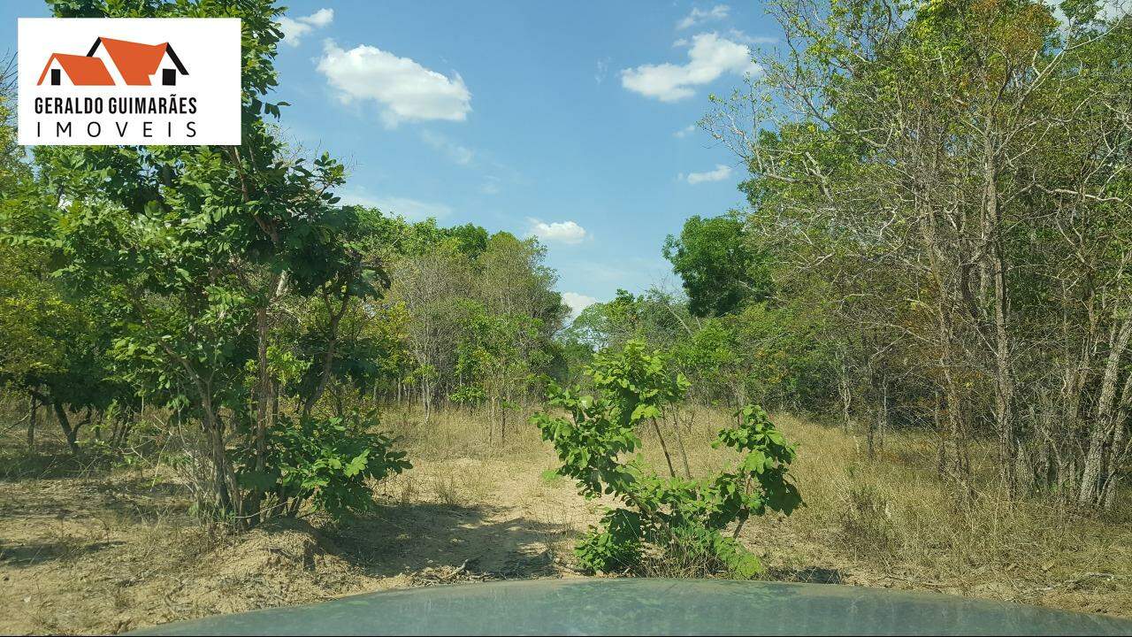 FAZENDA COMERCIAL à vendaCentroArinosMG: 