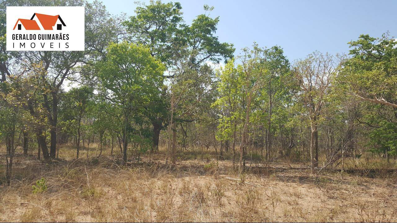 FAZENDA COMERCIAL à vendaCentroArinosMG: 