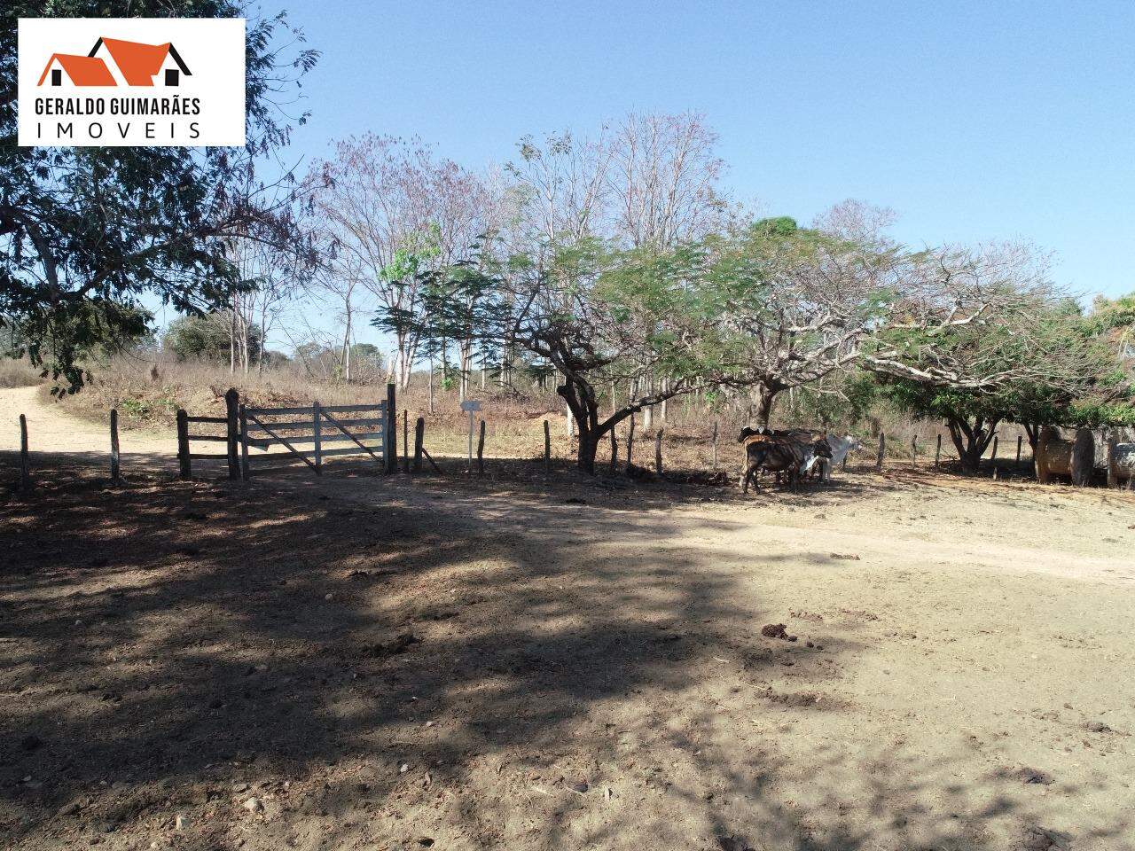 Fazenda à vendaZona Rural Presidente JuscelinoMG: 