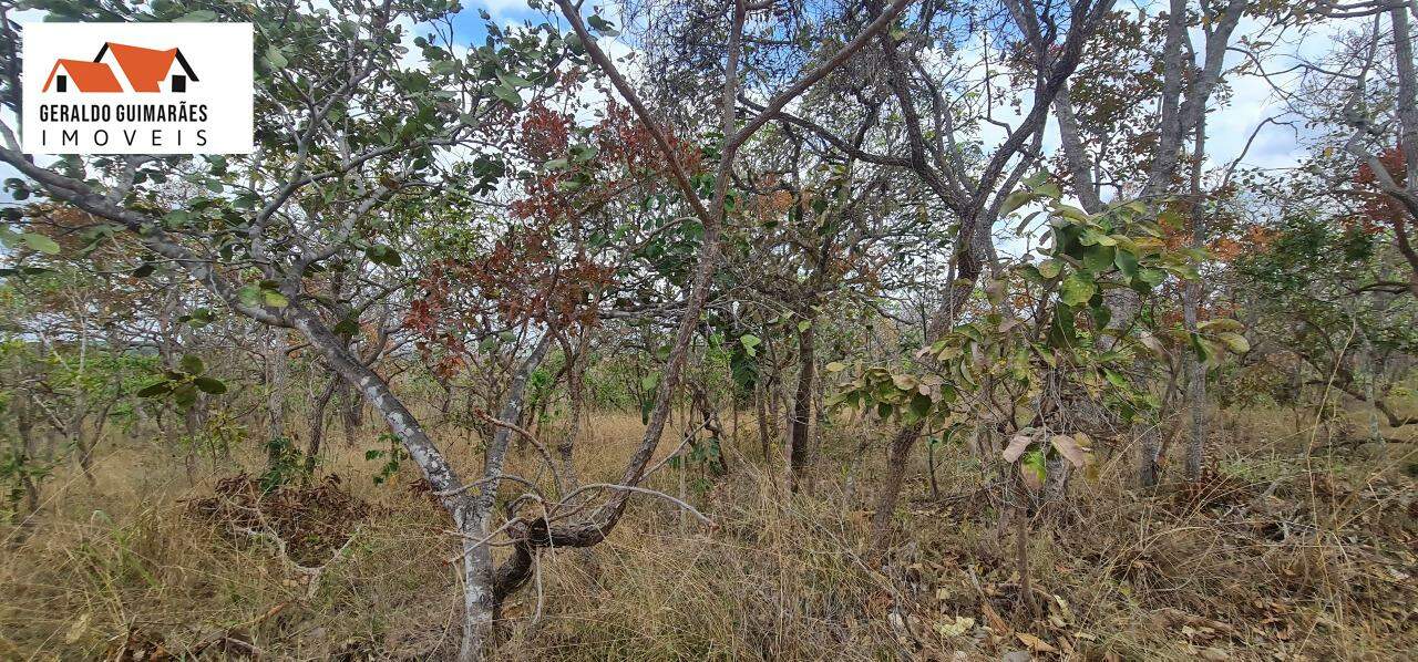Fazenda à vendaZONA RURALCurveloMG: 