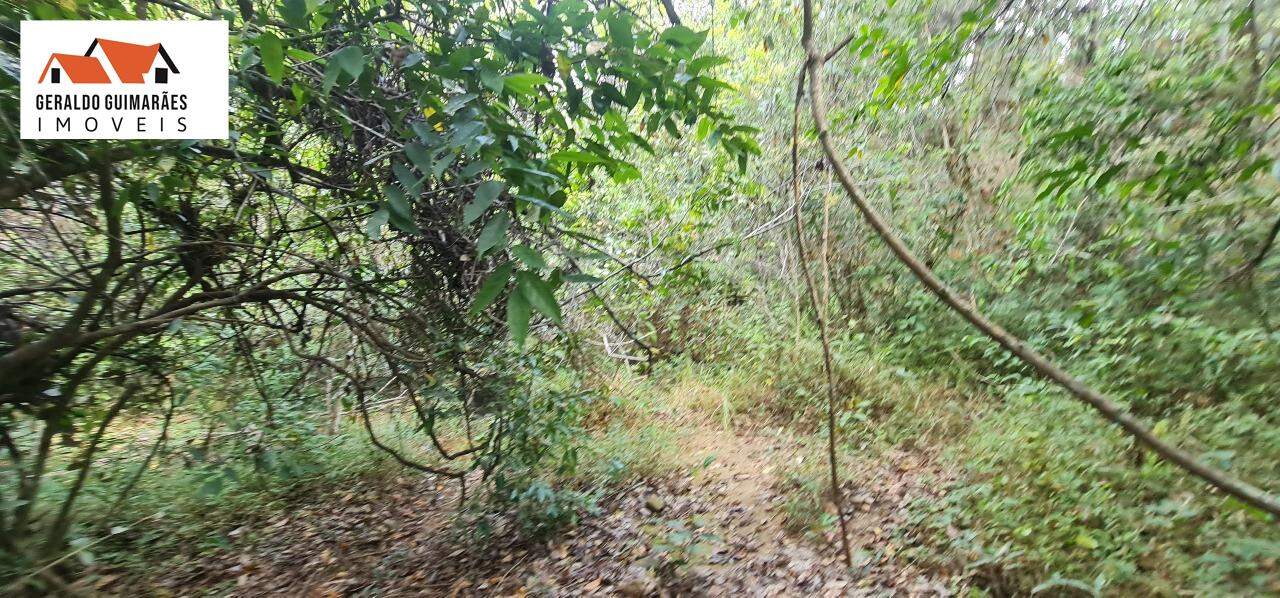 Fazenda à vendaZONA RURALCurveloMG: 