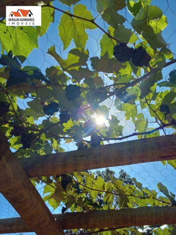 Sítio à vendaCentroCurveloMG: 