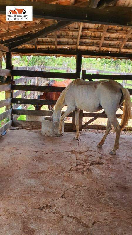 Fazenda à vendaCentroCurveloMG: 