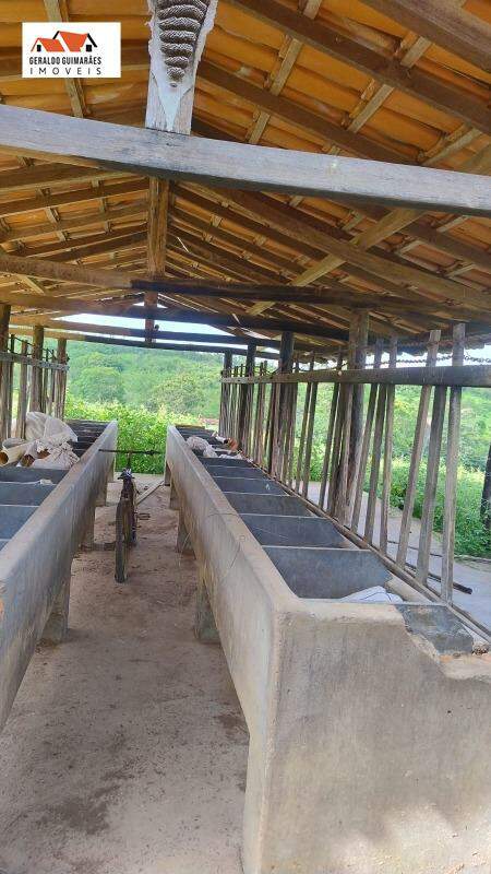 Fazenda à vendaCentroCurveloMG: 