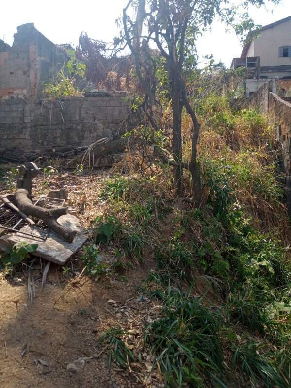Lote à venda no Santa Mônica: 