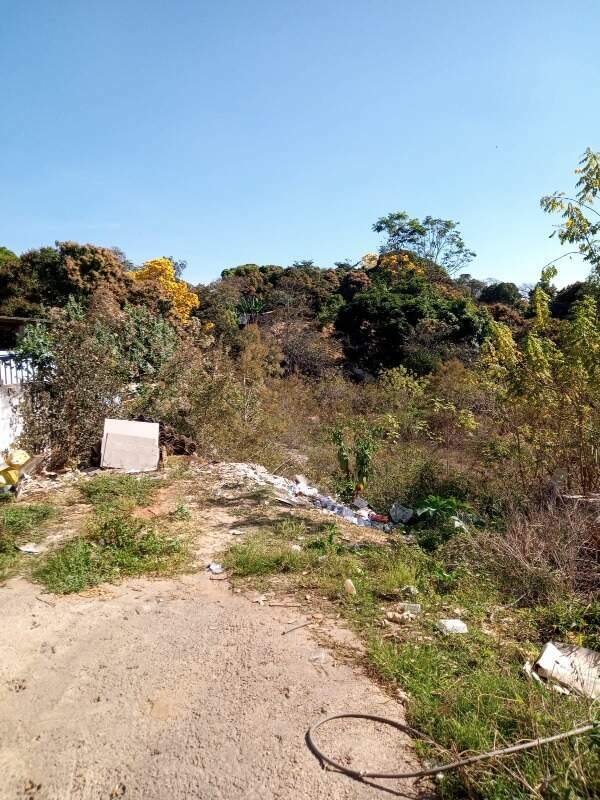 Lote à venda no Solimões: 