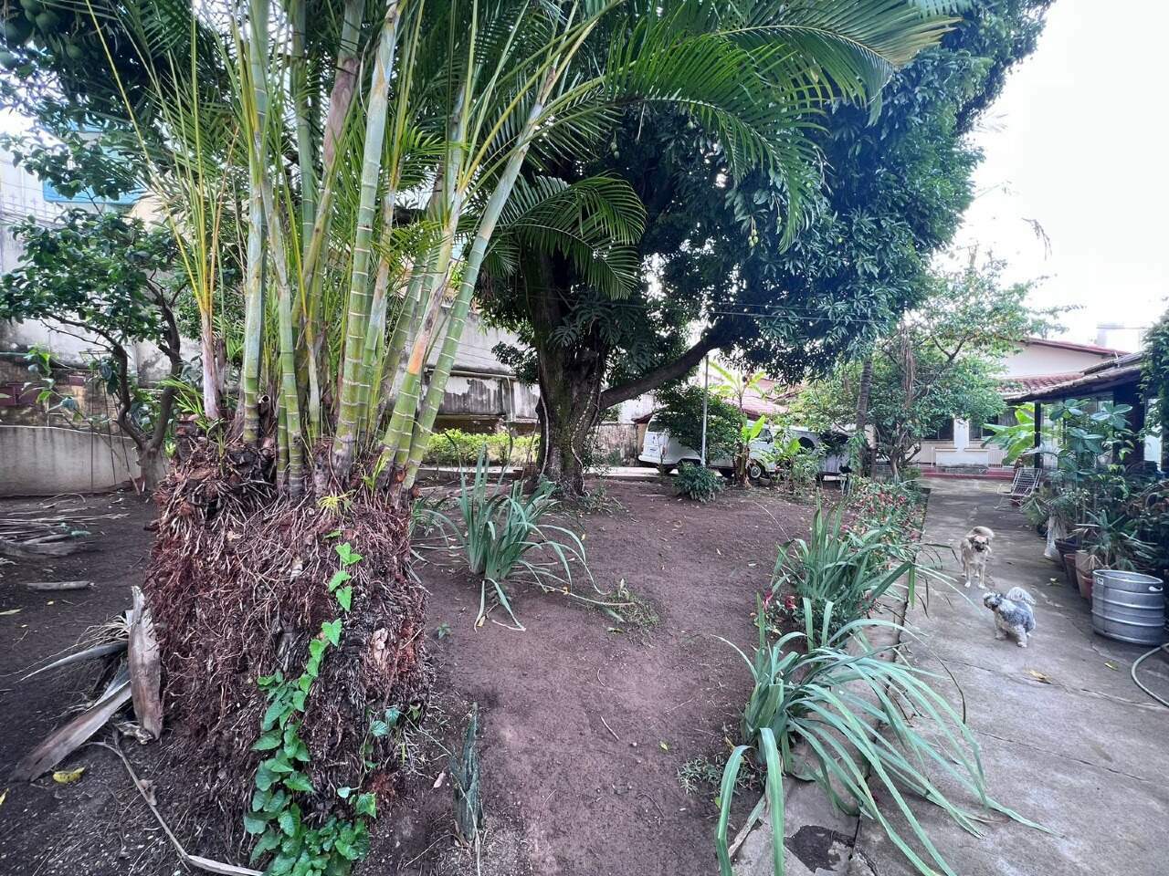 Casa à venda no Floresta: 