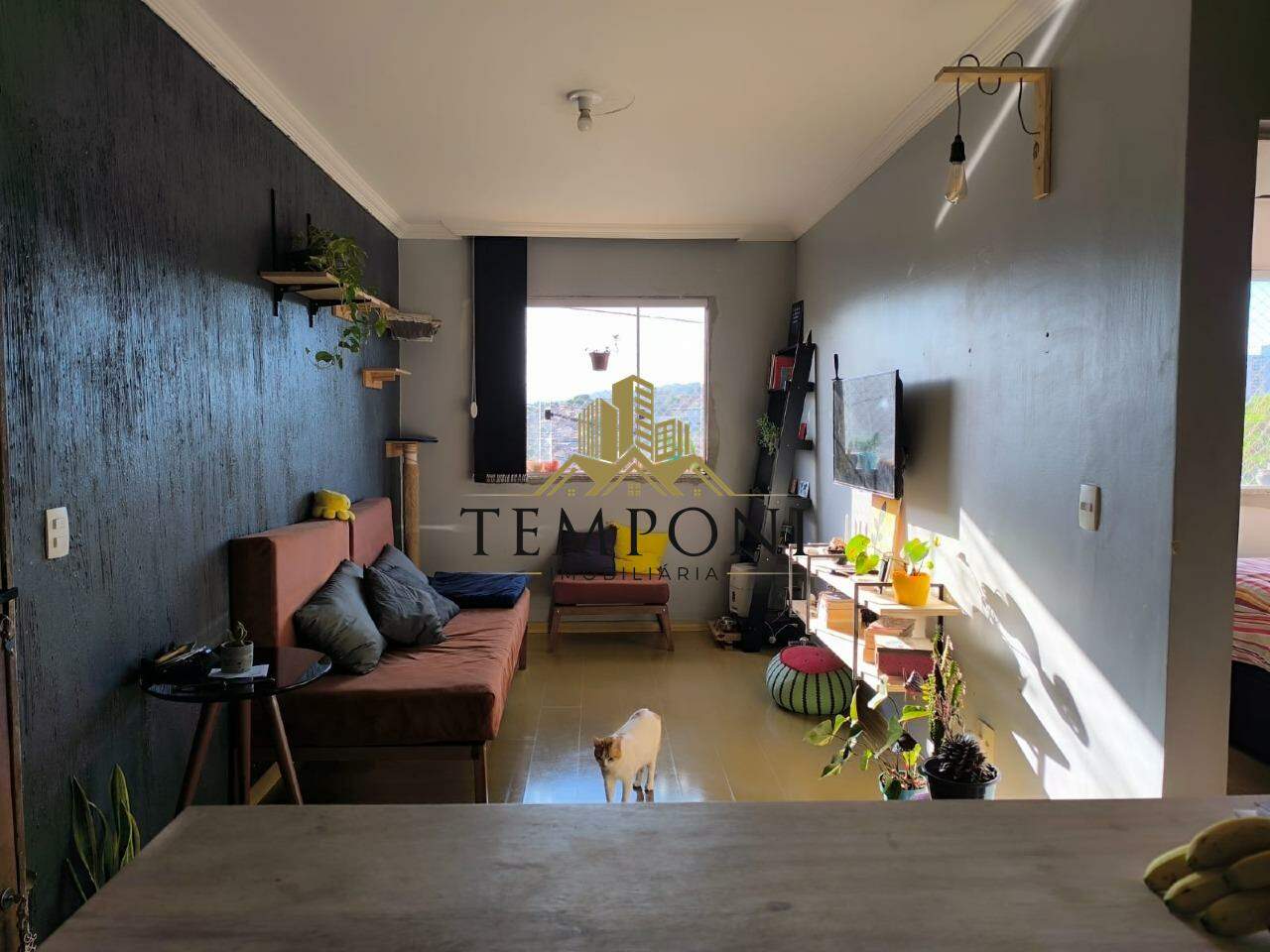 Casa à venda no Vila Cloris: 