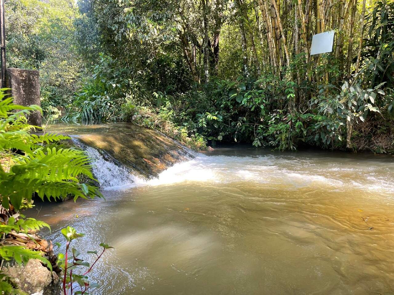 Sítio à venda no Amambaí: 