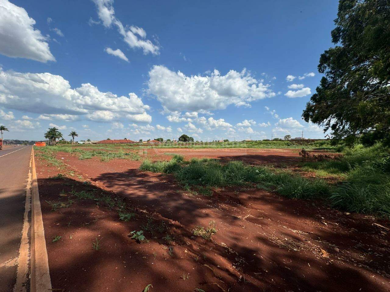 Terreno para aluguel no Br 463: 