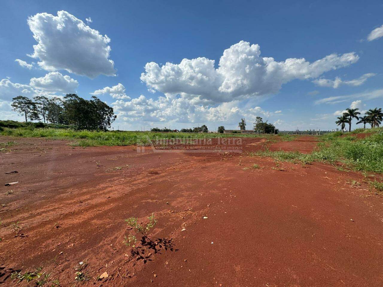 Terreno para aluguel no Br 463: 