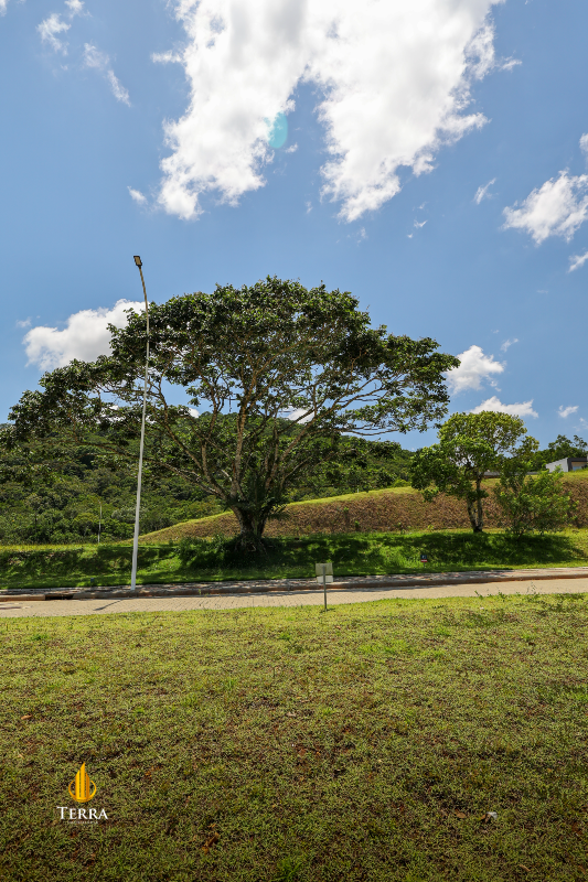 Condomínio Gralha Azul Terreno com , Distrito Rio do Meio :