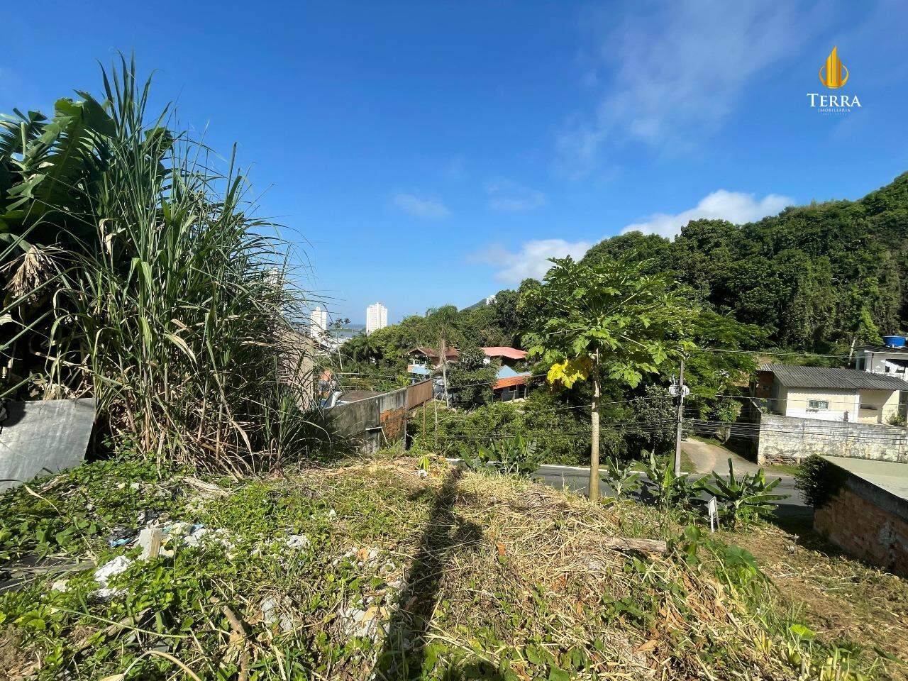  Terreno com , Fazenda: 