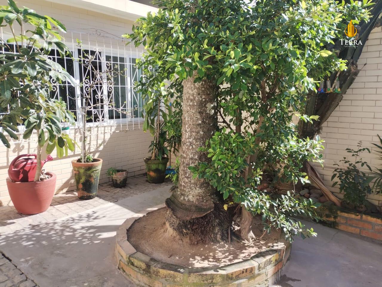  Casa com 6 quartos, Fazenda: 