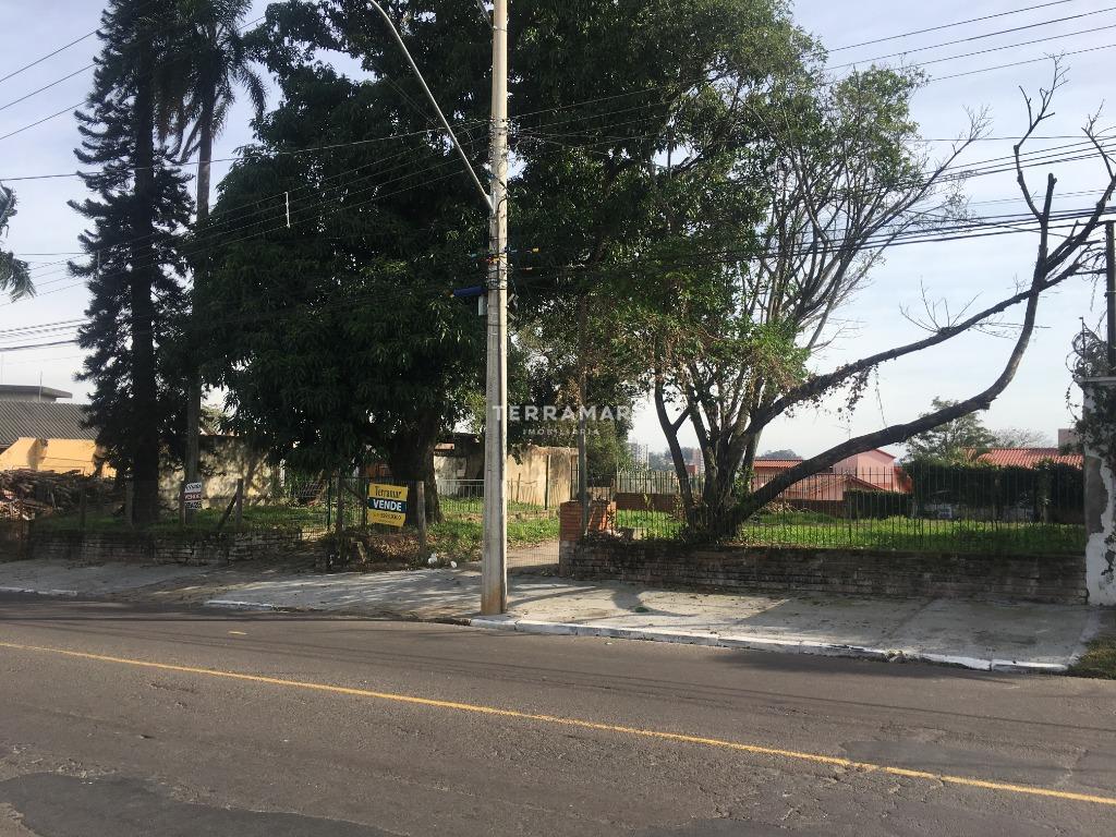 Terreno à venda no Rondônia: 