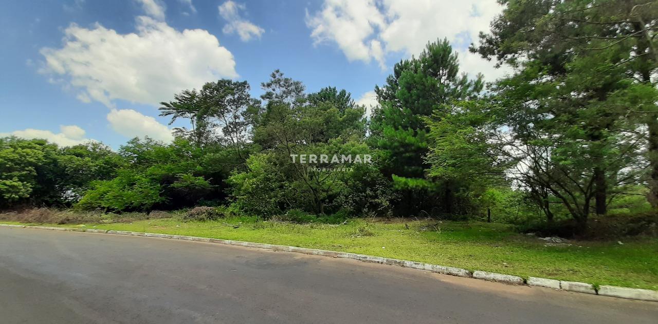 Terreno à venda no Rondônia: 