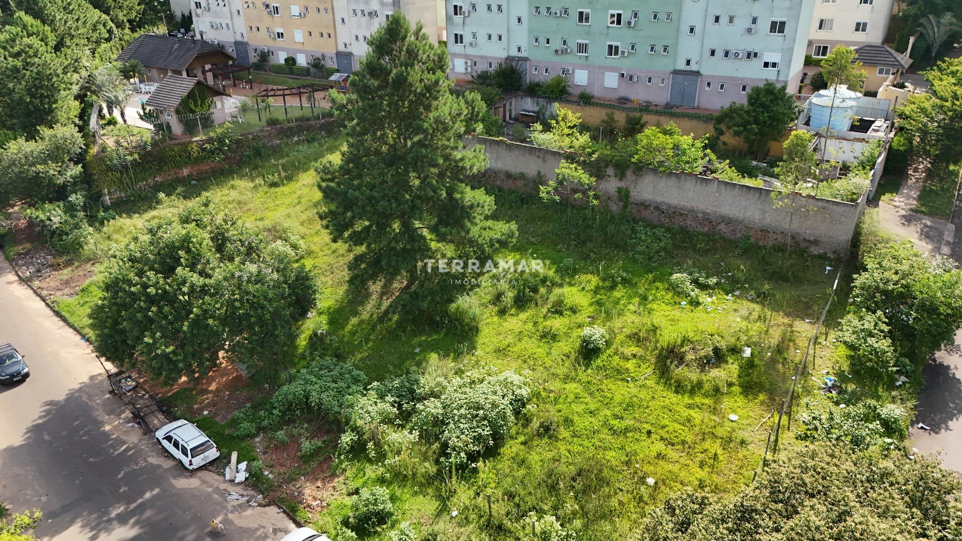 Terreno à venda no Rondônia: 
