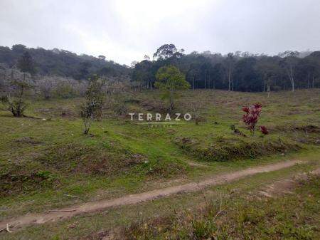 Terreno à venda no Canoas: 