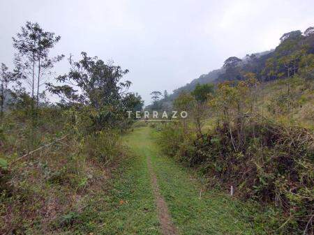 Terreno à venda no Canoas: 