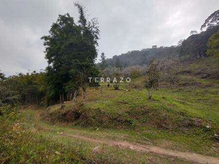 Terreno à venda no Canoas: 