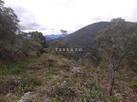 Terreno à venda no Albuquerque: 