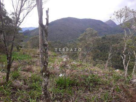 Terreno à venda no Albuquerque: 