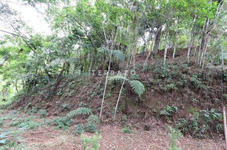 Terreno à venda no Cascata dos Amores: 