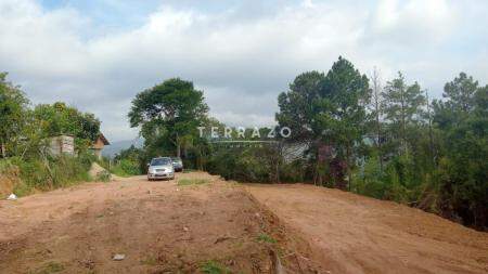 Terreno à venda no Posse: 