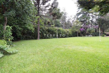 Terreno à venda no Albuquerque: 