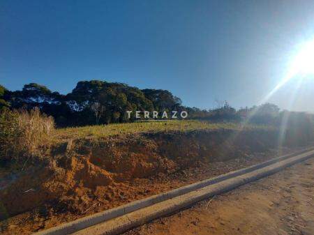 Terreno em Condomínio à venda no Pessegueiros: 