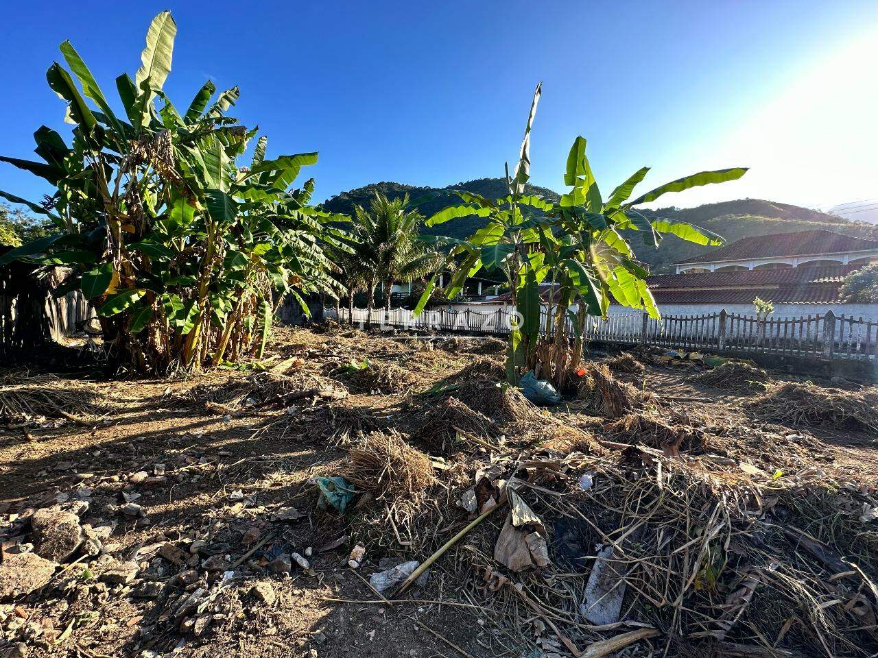 Terreno à venda no Paiol: 