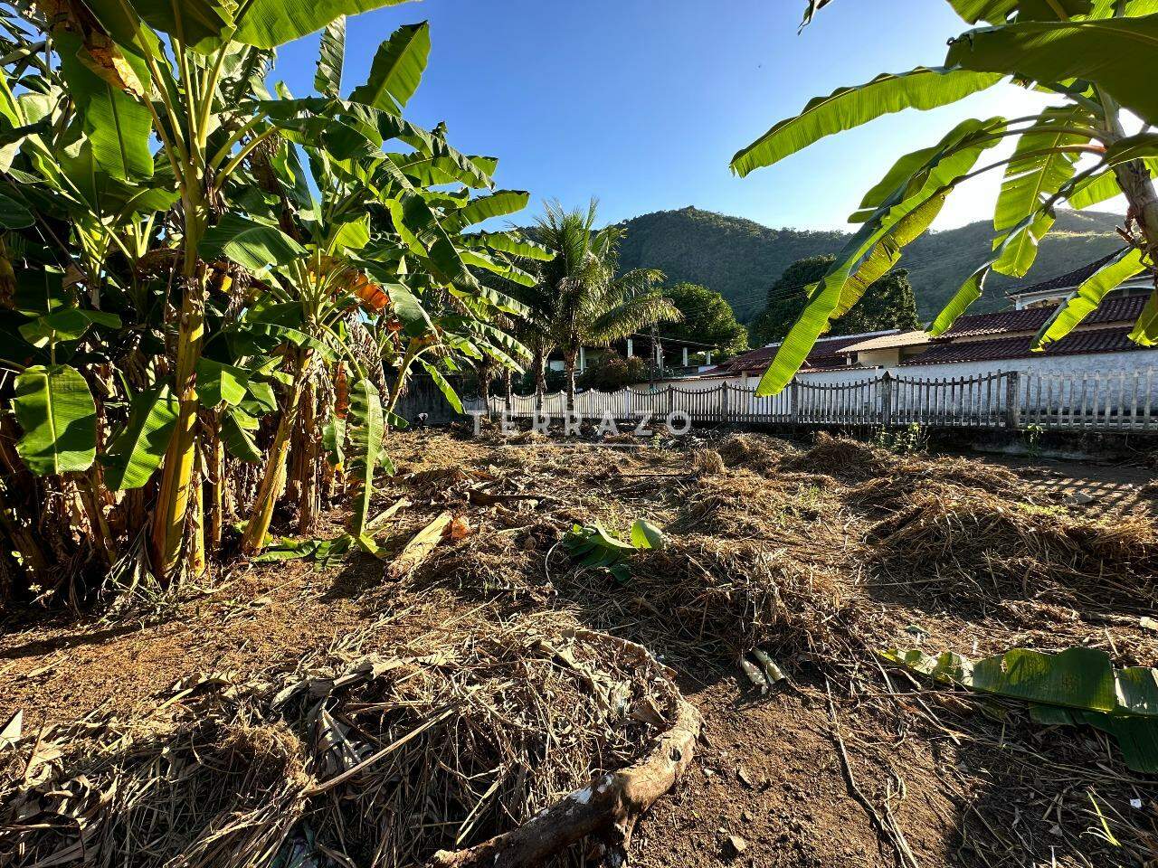 Terreno à venda no Paiol: 