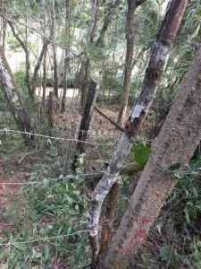 Terreno à venda no Parque do Imbui: 