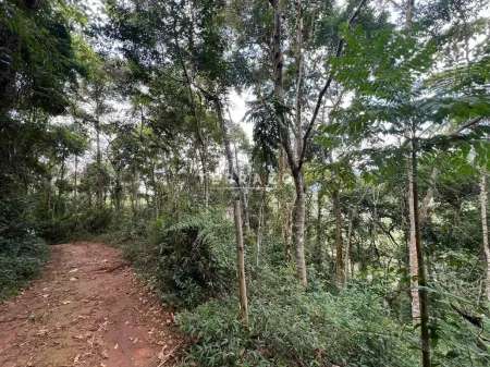 Terreno à venda no Parque do Imbui: 