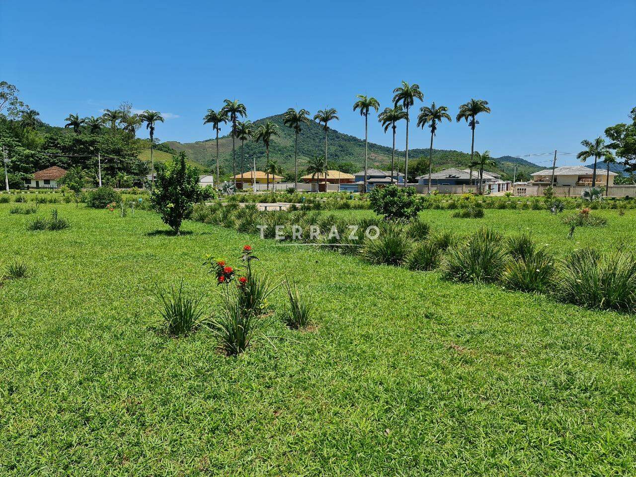 Terreno à venda no Cotia: 