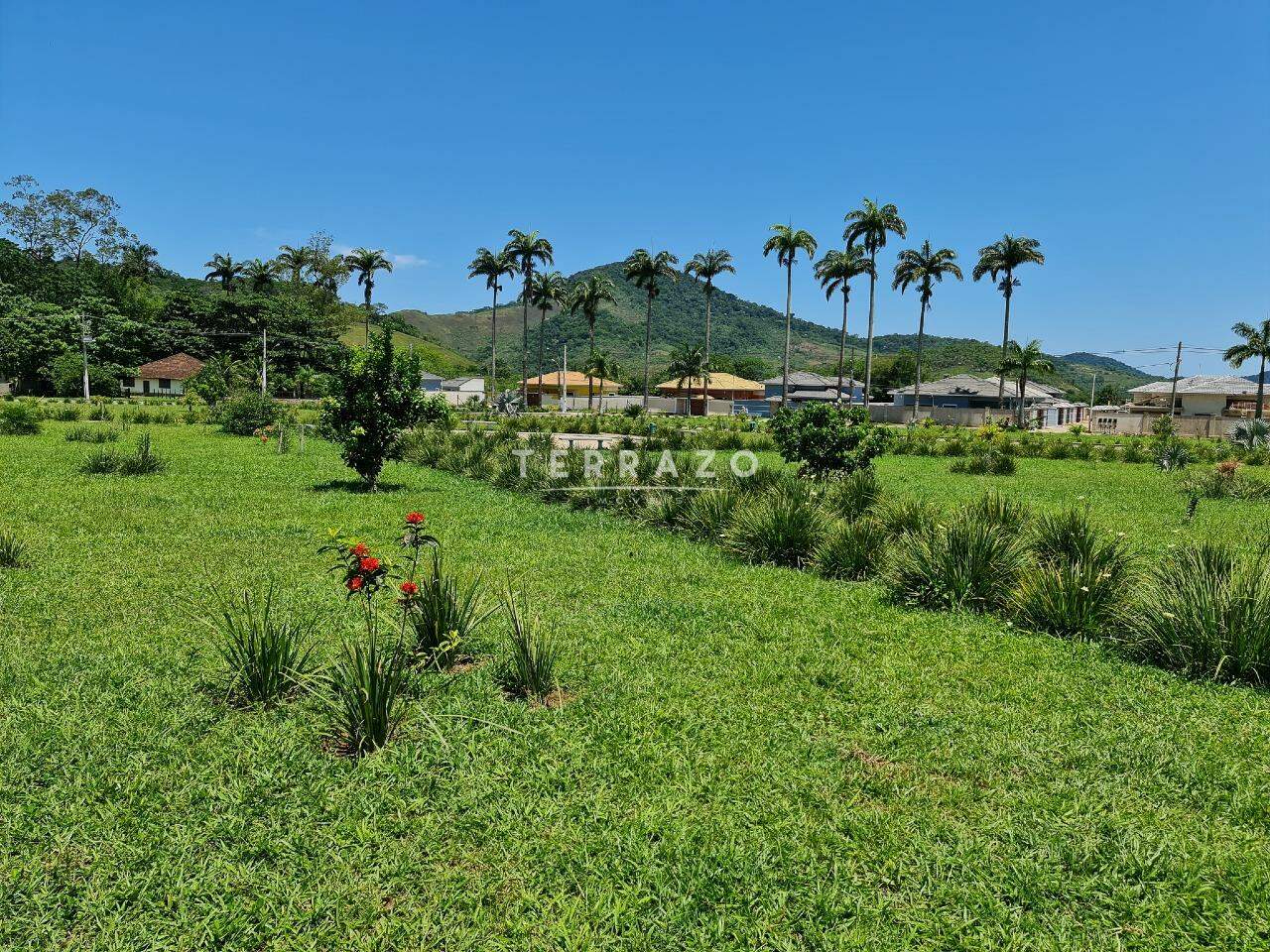 Terreno à venda no Cotia: 