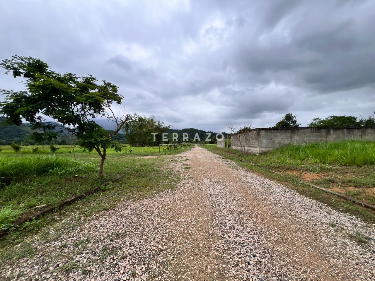 Terreno à venda no Cotia: 