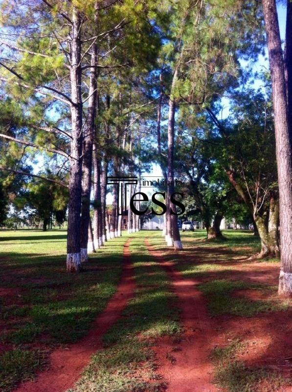 Fazenda / Sítio / Chácara com 3 quartos para aluguel, 20000m² — foto 21 de 23