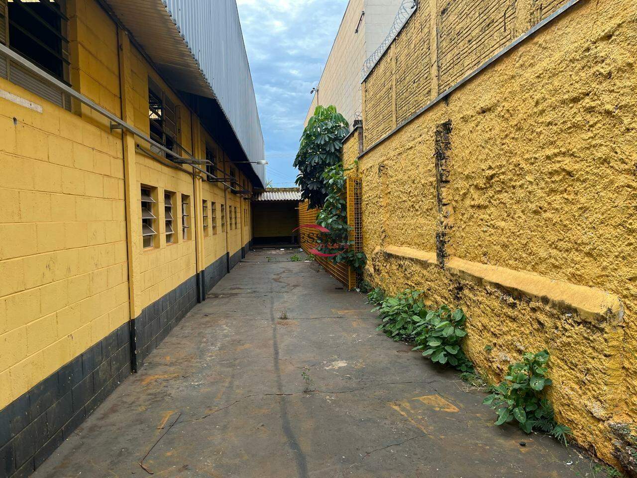 Loja / Salão / Ponto Comercial para aluguel, 1075m² — foto 14 de 21