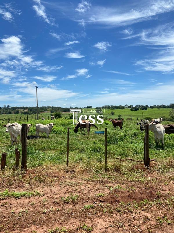Fazenda / Sítio / Chácara à venda — foto 4 de 24