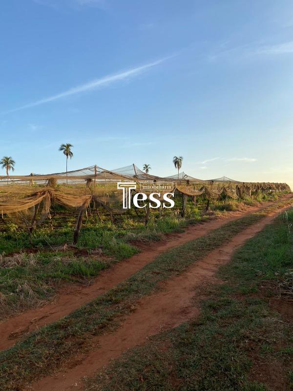 Fazenda / Sítio / Chácara à venda — foto 13 de 24