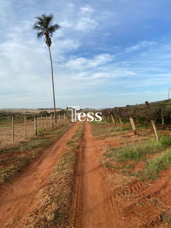 Fazenda / Sítio / Chácara à venda — foto 15 de 24
