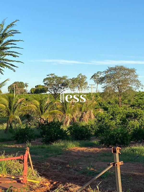 Fazenda / Sítio / Chácara à venda — foto 17 de 24
